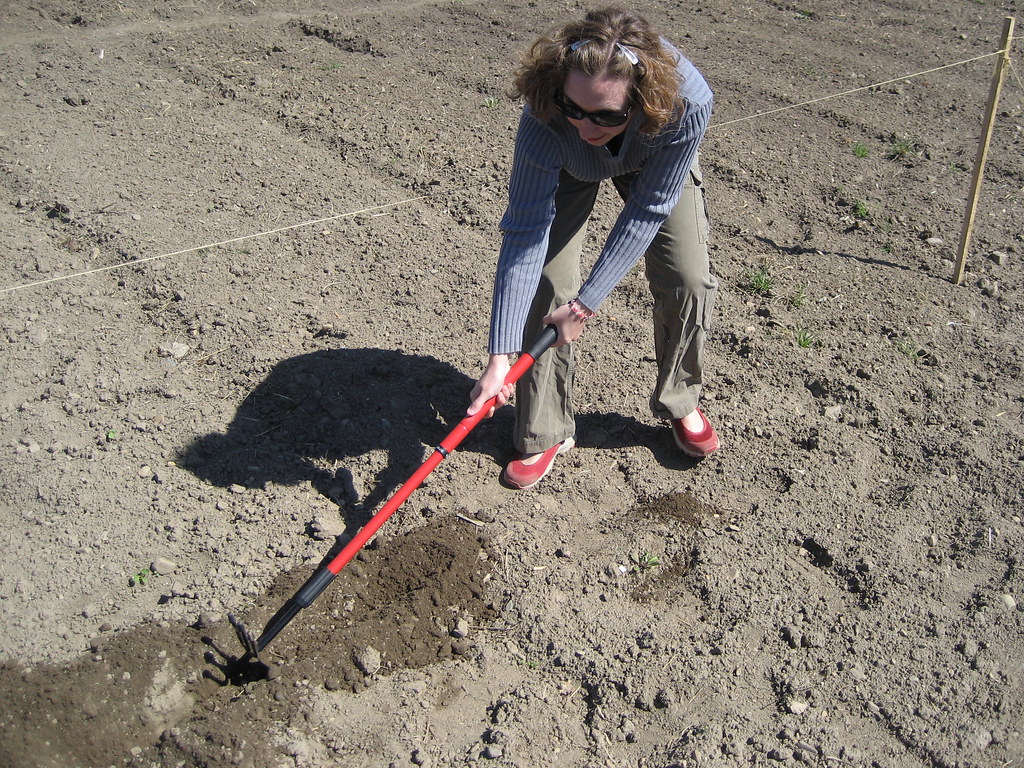 Garden Hoe