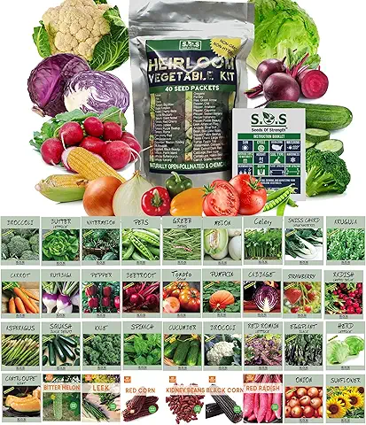 How to Grow Organic Vegetables in Small Spaces: A Comprehensive Guide